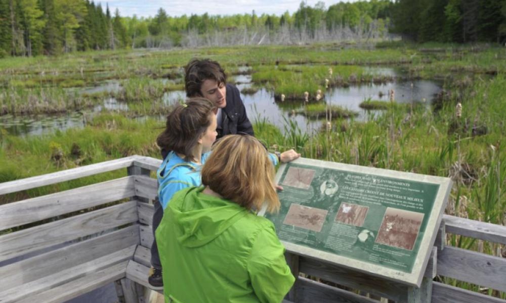 People reading informative display about the site they are one. In the background there is a marshland.