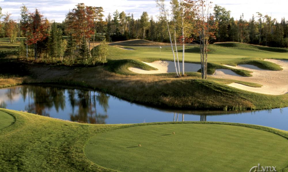 greens at the Kingswood Golf course